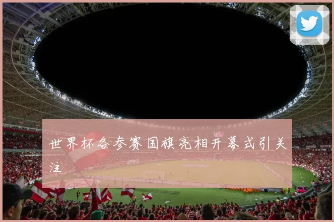 世界杯各参赛国旗亮相开幕式引关注