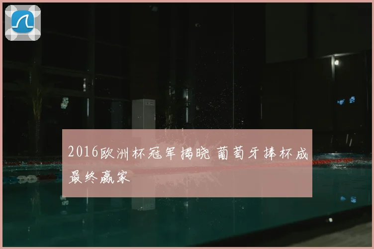 2016欧洲杯冠军揭晓 葡萄牙捧杯成最终赢家